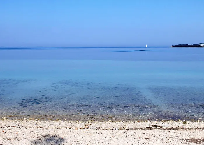 Luxury With A Swimming Pool Petrcane, Zadar - 22839 بيتريتْشاني